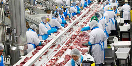 高速行式打印机为巴西食品饮料分销集团连续处理发票大量省钱